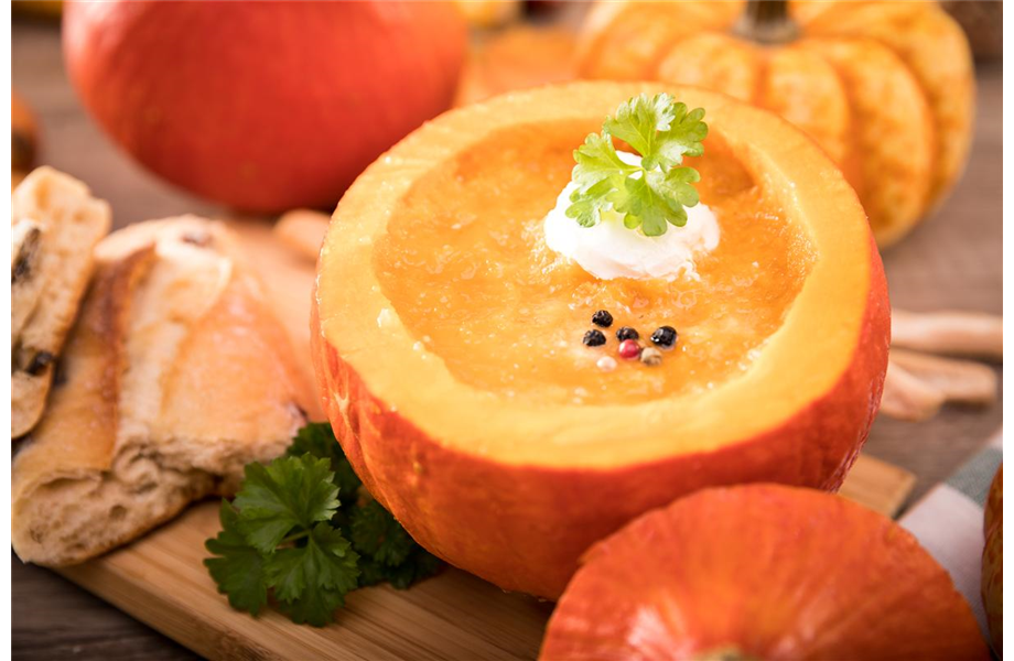 Kürbisernte Kürbisernte