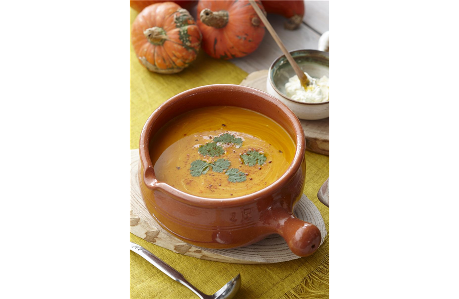 Kürbisernte Kürbisernte