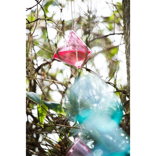 Mit Regenwasser eine Freude machen