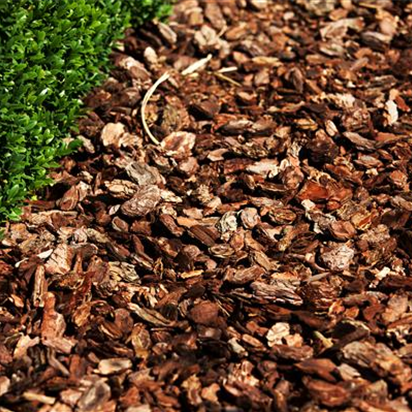 Der Mulch macht’s