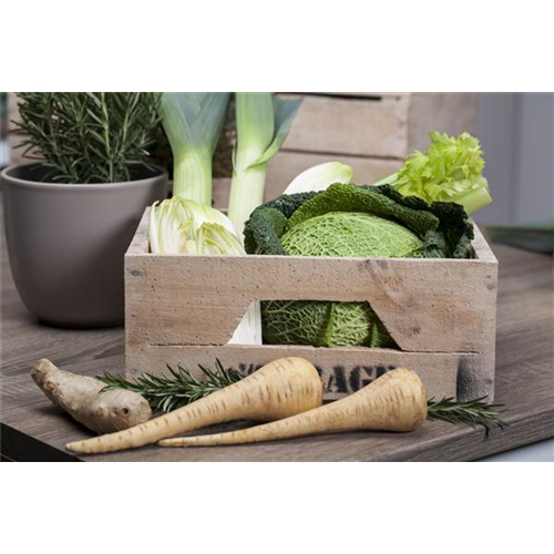 Lagergemüse trocken halten