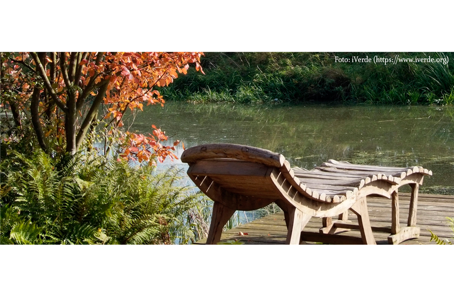 Pflanz den goldenen Herbst!