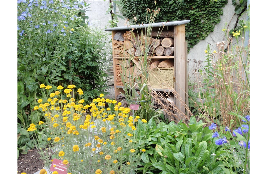 Das geeignete Winterquartier! Das geeignete Winterquartier!