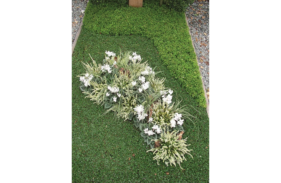 Das geeignete Winterquartier! Das geeignete Winterquartier!