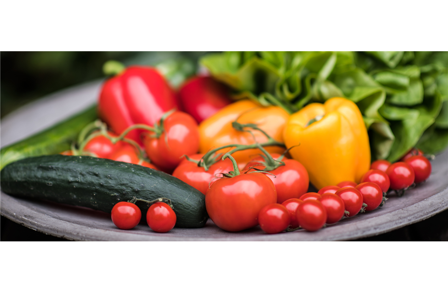 Gartentipps im Juli