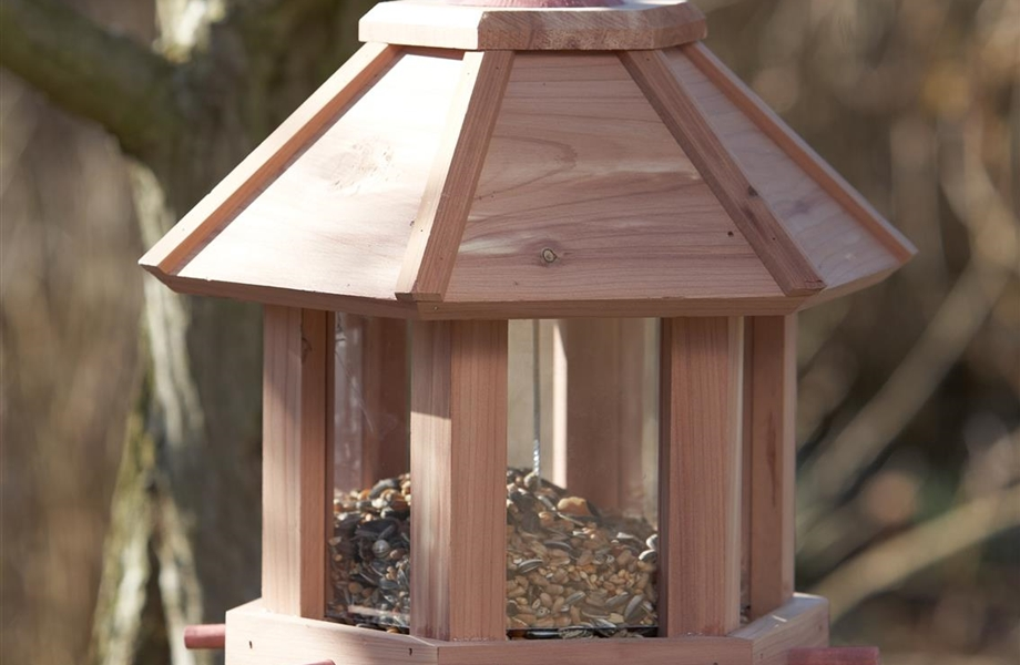 Hausmannskost für Hungerleider Hausmannskost für Hungerleider