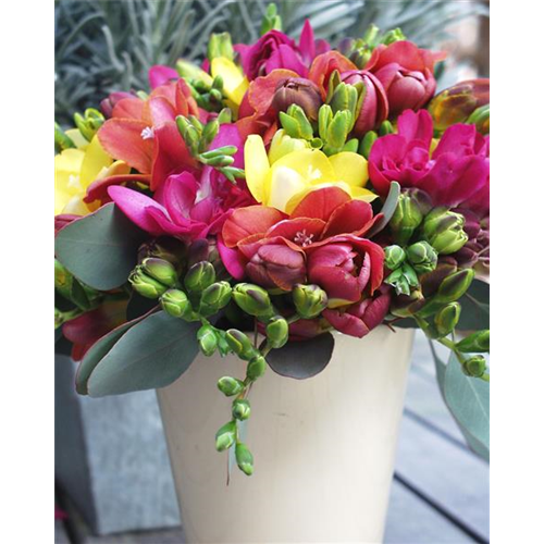 Die Top 8 der Frühlingsboten