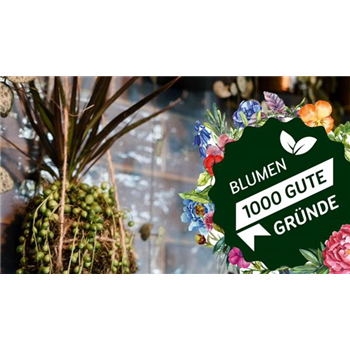 Winter-Kokedama als Indoor-Deko